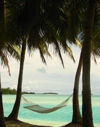 Picture for Celebrity Jump Start & Ultimate Lifestyle Business package